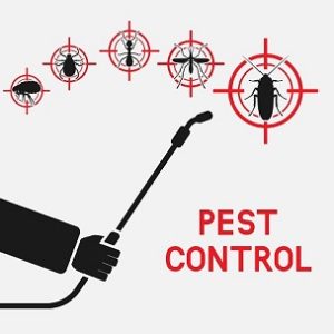 Eco-Friendly Pest Control Solutions for Minneapolis-St. Paul Residents